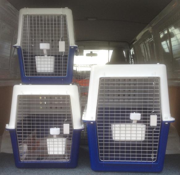 crates405060
